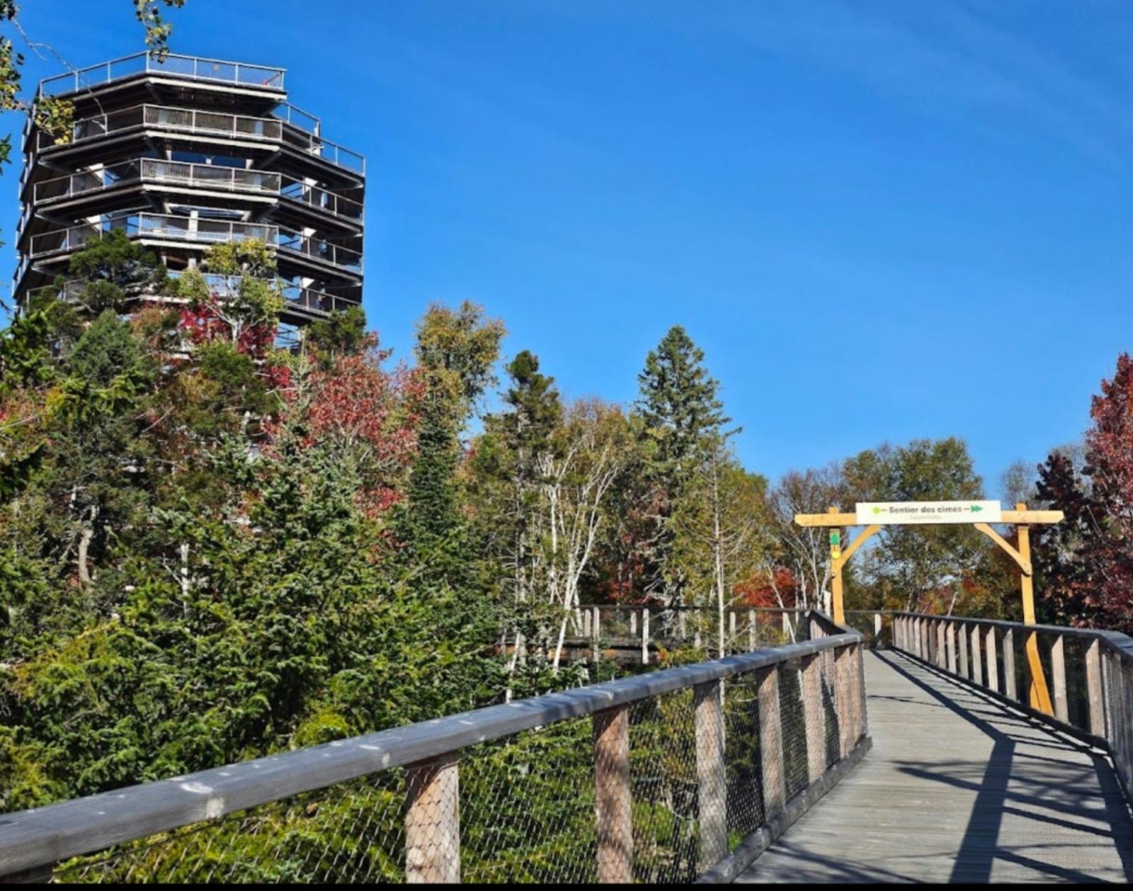 Treetop Walk Tremblant
